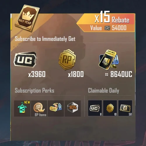 Prime Plus (6 Months)